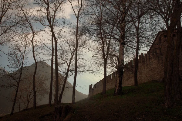 O Castelo de Fenis, localizado no 'município homônimo, i — Fotografia de Stock