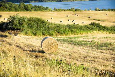 Toskana yaz peyzaj .