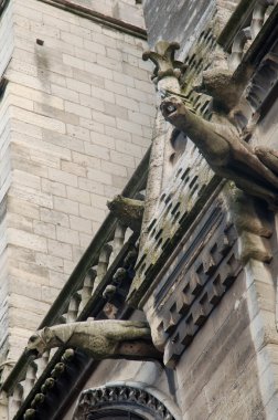 Notre Dame Katedrali, mimari detaylar, Paris .