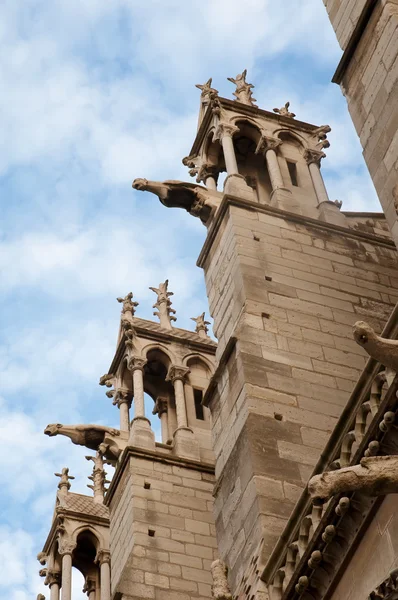 Catedral de Notre Dame, detalhes arquitetônicos, Paris  . — Fotografia de Stock