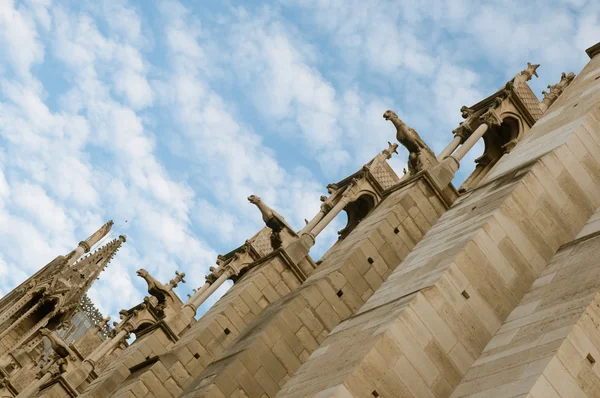 Kathedrale Notre Dame, architektonische Details, Paris . — Stockfoto