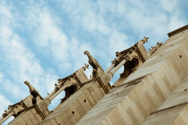 Catedral de Notre Dame, detalhes arquitetônicos, Paris  . — Fotografia de Stock