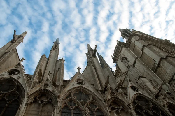 Kathedrale Notre Dame, architektonische Details, Paris . — Stockfoto