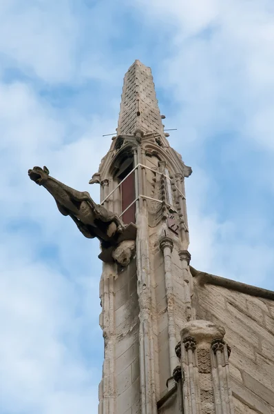 As gárgulas da Catedral de Notre Dame, Paris  . — Fotografia de Stock