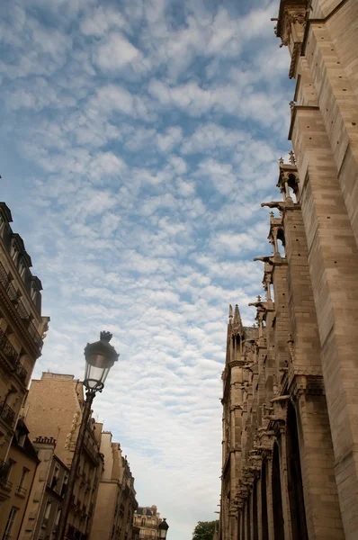 Katedrála Notre Dame, architektonické detaily, Paříž . — Stock fotografie