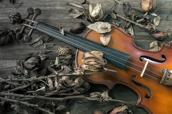 Geige im Vintage-Stil auf Holz-Hintergrund — Stockfoto
