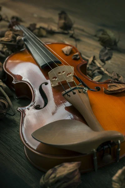 Violino em estilo vintage em fundo de madeira — Fotografia de Stock