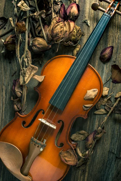 Violin in vintage style on wood background — Stock Photo, Image