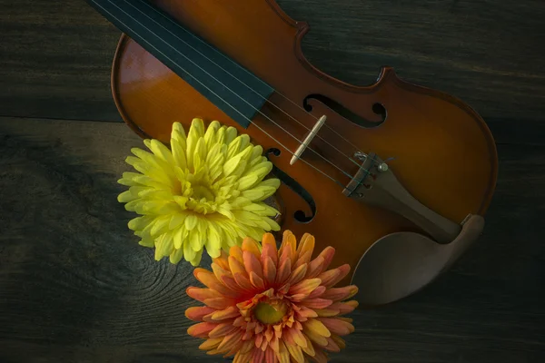 Violino em estilo vintage em fundo de madeira — Fotografia de Stock