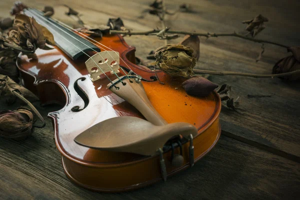 Hegedű, vintage stílusban, fából készült háttér — Stock Fotó
