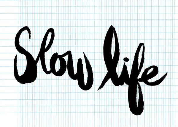 El yazısıyla yazılan kelime yavaş hayat, tipografik poster.vector resimde yazı, fırça boyalı — Stok Vektör