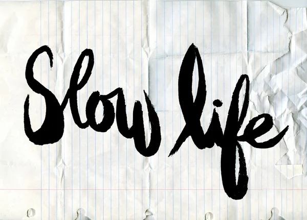 Handskrivna ordet långsamma livet, målade borste bokstäver, typografiska poster.vector illustration — Stock vektor