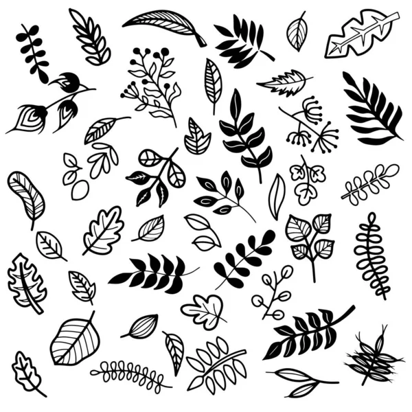 Handgezeichnete Florale Blätterartige Elemente Vektorform Für Hochzeitsdesign Logo Grußkarte Illustration — Stockvektor