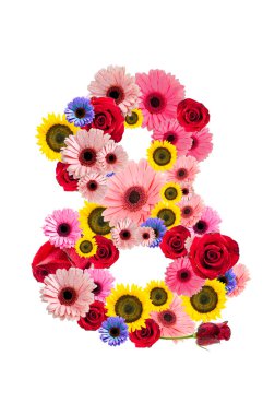 beyaz izole sayısı sekiz 8, çiçek alfabesi