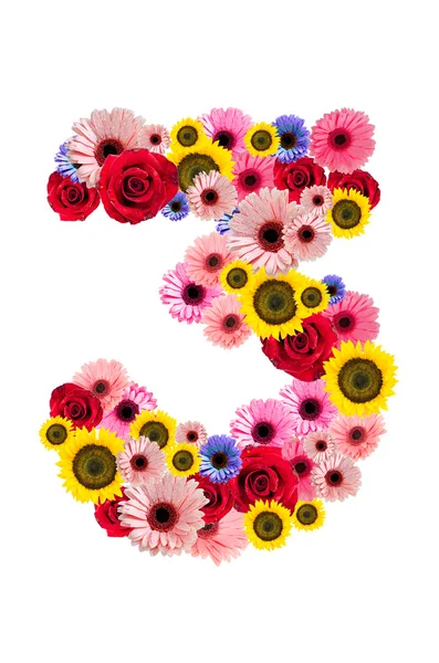 Number Three 3, flower alphabet isolated on white — Stock Photo, Image
