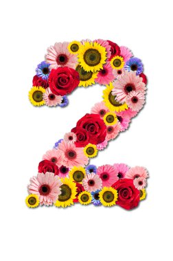 numara iki 2, üzerinde beyaz izole çiçek alfabe. alt gölge