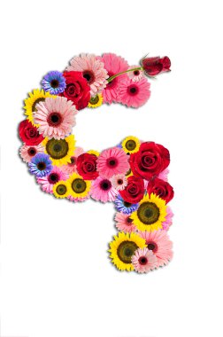 White.Drop gölge izole sayı dokuz dokuz, çiçek alfabesi