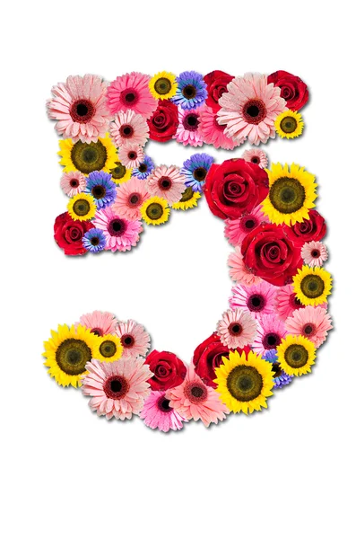 Nummer vijf 5, bloem alfabet geïsoleerd op wit. slagschaduw — Stockfoto