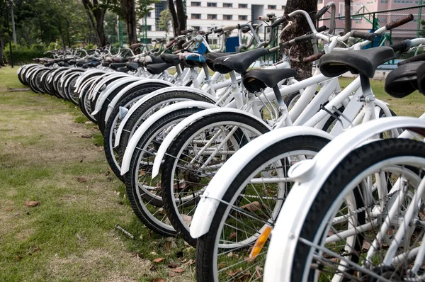 Una fila di biciclette a noleggio — Foto Stock
