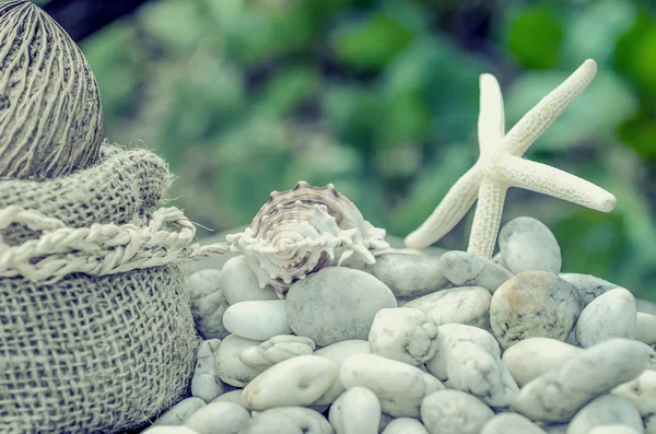 Ricordi dal mare per cartolina o poster — Foto Stock