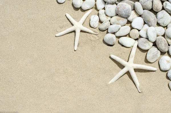 Top view of  Starfishs and White Stone on Sand background — Stock Photo, Image