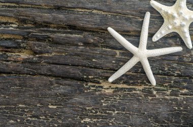 Starfishs ve beyaz taş onwooden arka plan Üstten Görünüm