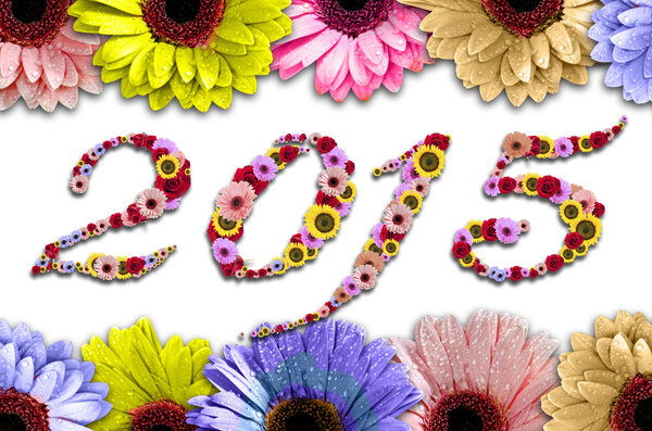 2015 Цветы на раме из разноцветных маргариток на фоне дерева
