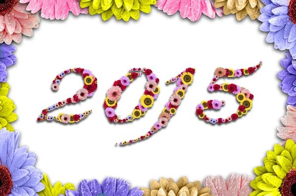 Ahşap arka plan üzerinde renkli papatyalar 2015 çiçek rame tarihinde yapılmış — Stok fotoğraf