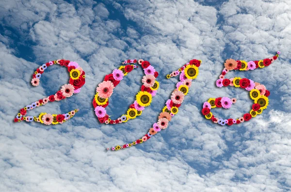 2015 Цветы на праздничном фоне мирного неба — стоковое фото