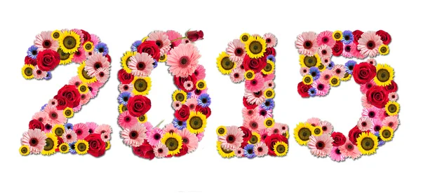 2015, Nieuwjaar gemaakt van bloemen geïsoleerd op een witte achtergrond — Stockfoto