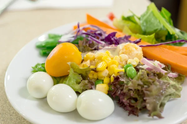 Gros plan de salade de légumes sur plat blanc — Photo