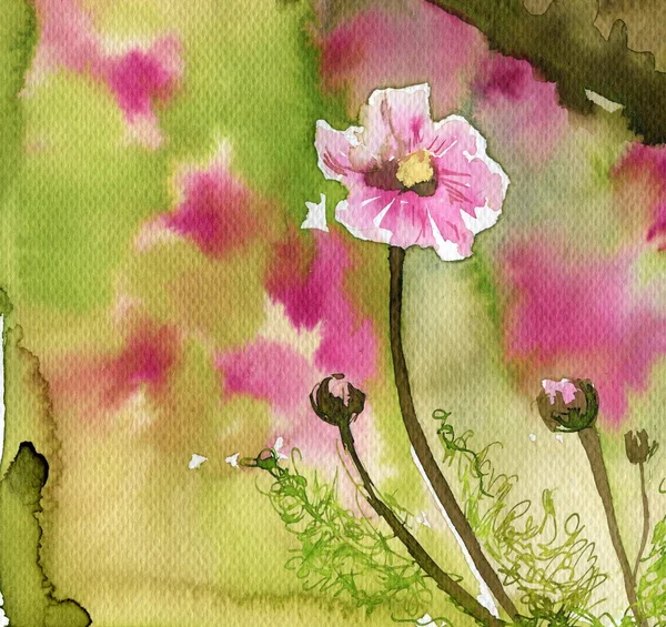 Suluboya pembe çiçekler — Stok fotoğraf