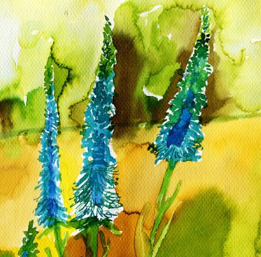 bahar çiçekleri çayırda tasvir suluboya resim