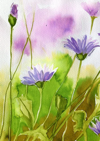 Watercolor illustration depicting spring flowers in the meadow — Stock Photo, Image