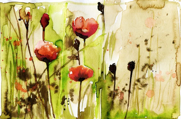 牧草地の春の花を描いた水彩画のイラスト — ストック写真