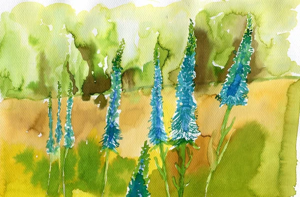 Watercolor illustration depicting spring flowers in the meadow — Stock Photo, Image