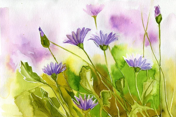 초원에서 봄 꽃을 묘사 하는 수채화 그림 — 스톡 사진