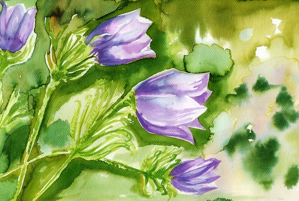 Avó, ilustração aquarela retratando flores da primavera no prado — Fotografia de Stock