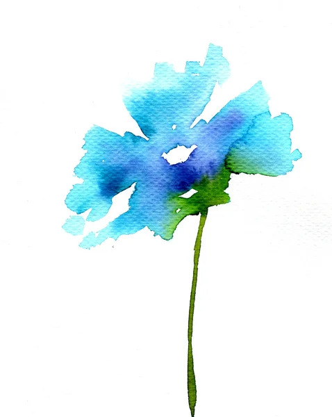 Blue flowers — Stock Photo, Image