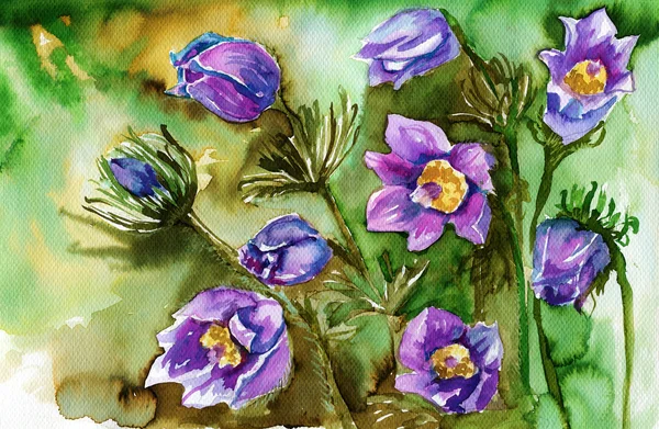 Watercolor illustration depicting spring flowers in the meadow — Stock Photo, Image