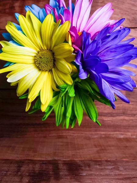 컬러 염색 데이지 꽃다발 — 스톡 사진