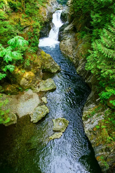 Waterfall View From Suspended Bridge — Stock Photo, Image