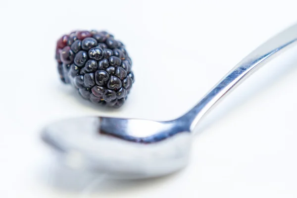 Verse rijpe Blackberry — Stockfoto