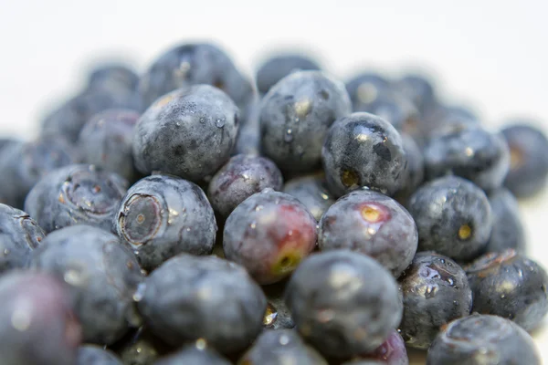 Fresh Ripe Blueberries — Stock Photo, Image