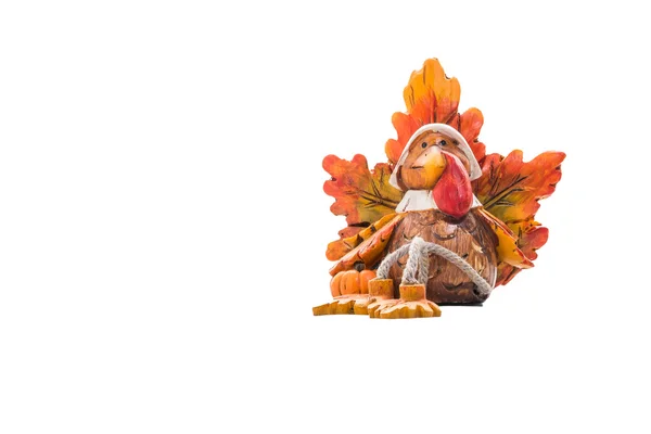 Festive Turkey On Isolated Background — Stock Photo, Image