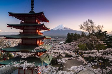 Güzel manzaralı dağ Fuji ve Chureito Pagoda kiraz çiçeği bahar, Fujiyoshida, Japonya