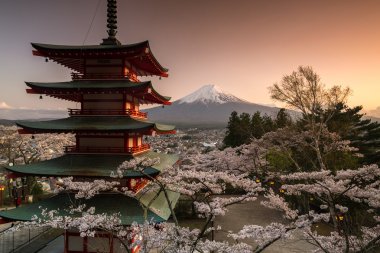 Beautiful view of Mountain Fuji and Chureito Pagoda with cherry blossom in spring, Fujiyoshida, Japan clipart
