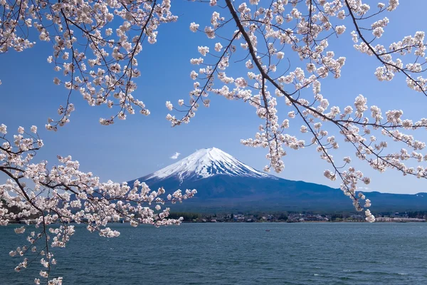 Krásný výhled na horu Fudži s rozkvetlou třešní na jaře, jezero Kawaguchiko, Japonsko — Stock fotografie