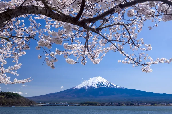 Gyönyörű kilátás, a Fudzsi hegy cseresznyevirággal tavasszal, Kawaguchiko-tó, Japán — Stock Fotó