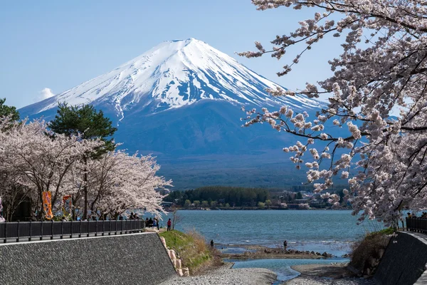 Piękny widok na góry Fudżi z wiśni wiosną, jezioro Kawaguchiko, Japonia — Zdjęcie stockowe